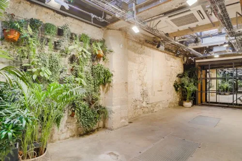 null showroom in Paris