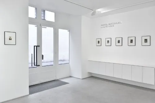 null rent showroom