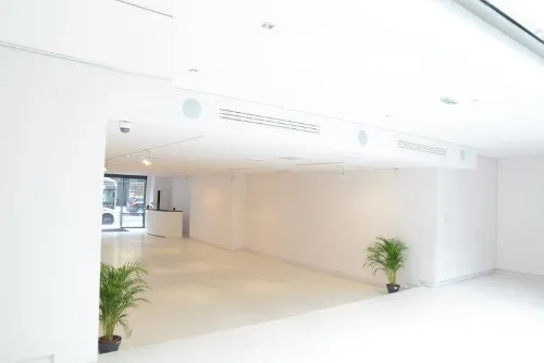 null lease showroom