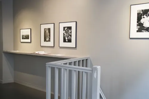 Showroom d'Agathe lease showroom