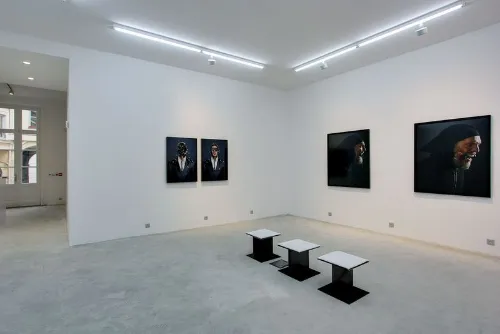 null rent showroom