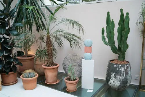 Le paradis 9 Paris fashionweek rent