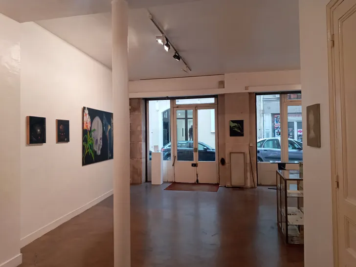 Showroom PG storefront