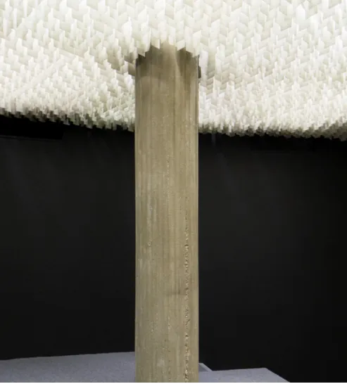null vue intérieur