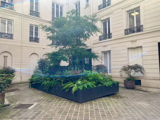 Le showroom Honoré showroom paris fashionweek lease